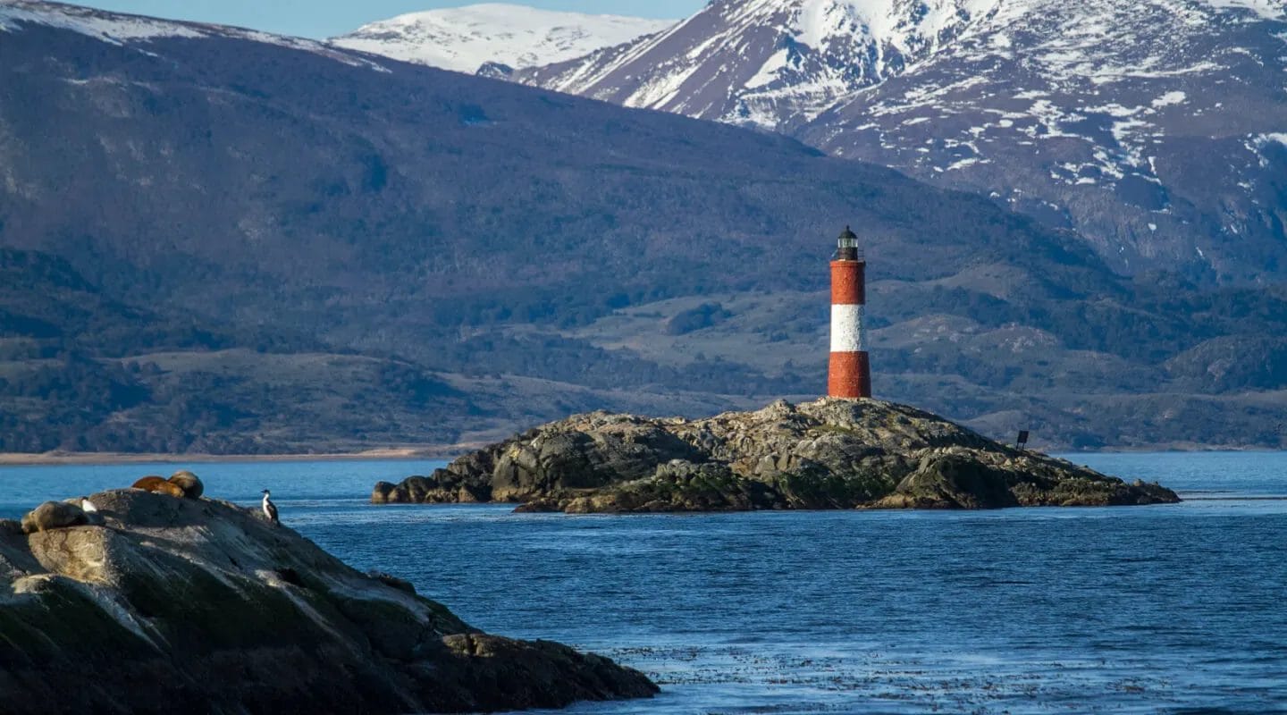 Wd 1 tour argentina fimg 12