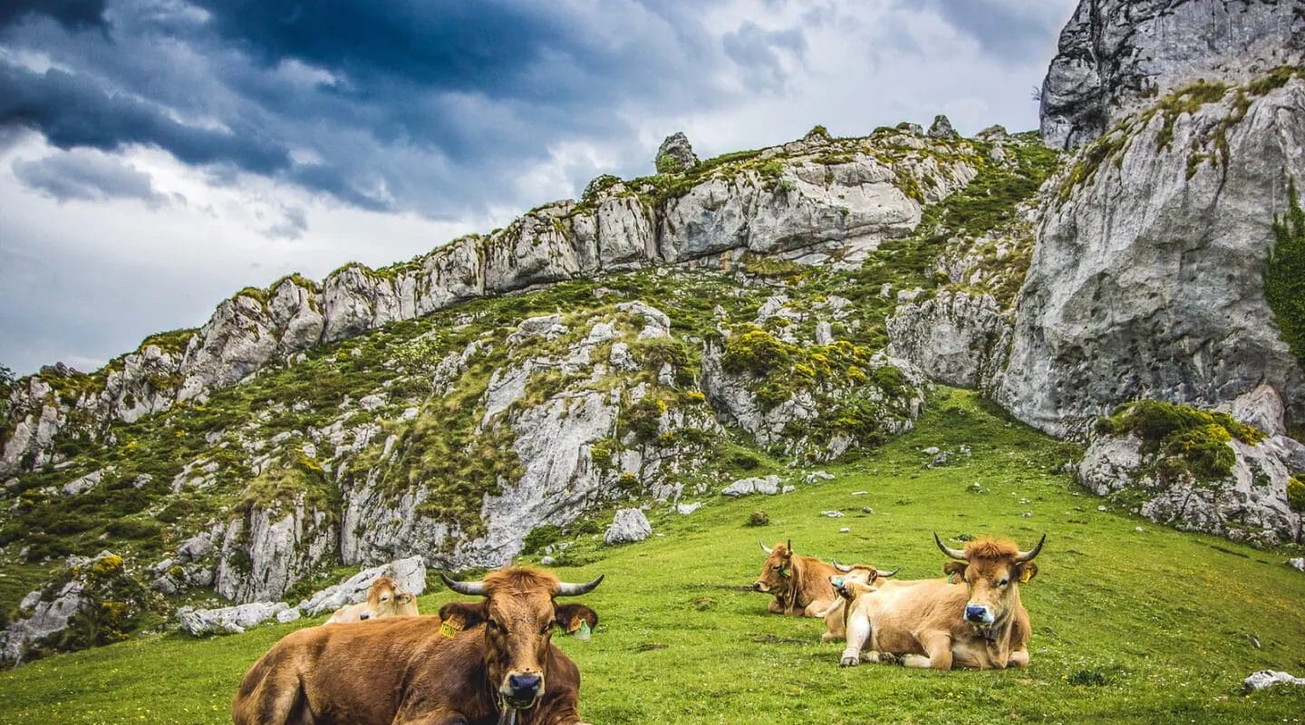 Wd 1 tour spain fimg 07