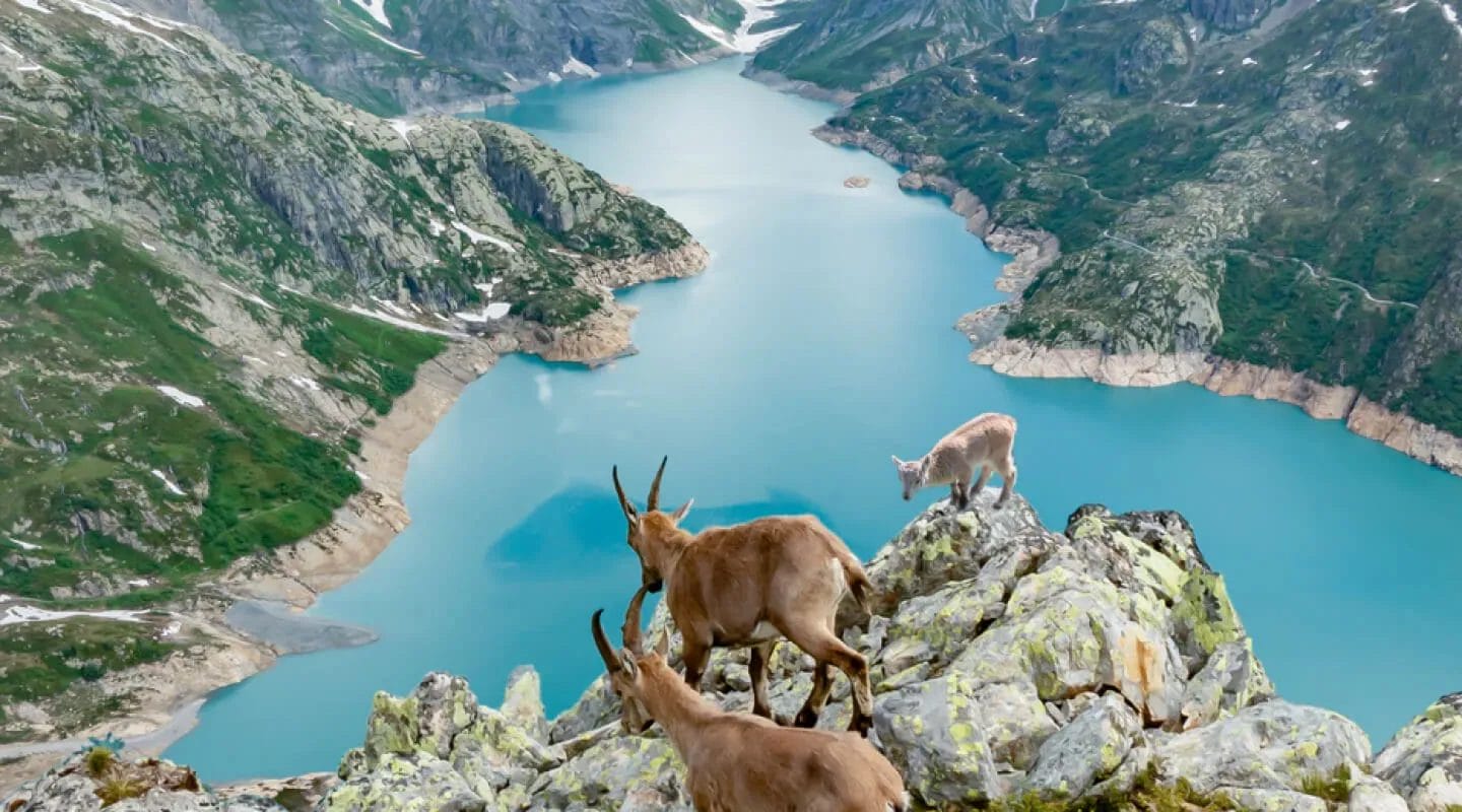 Wd 1 tour switzerland fimg 10